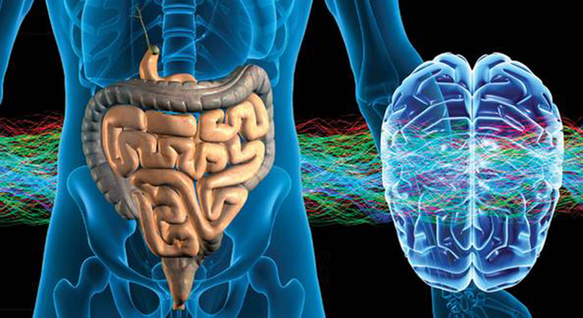 大脑和肠道,第二大脑,精神心理肠道：精神心理因素会刺激肠道，影响肠道功能吗？