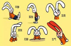 什么是“合理情绪疗法”？怎样用它摆脱情绪困扰？