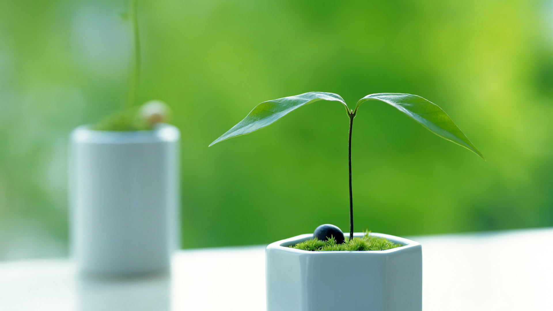 为什么会患上季节性抑郁症?季节性抑郁症该如何治疗? 抑郁症,心理,心理专家,心理咨询:为什么会患上季节性抑郁症?季节性抑郁症该如何治疗?